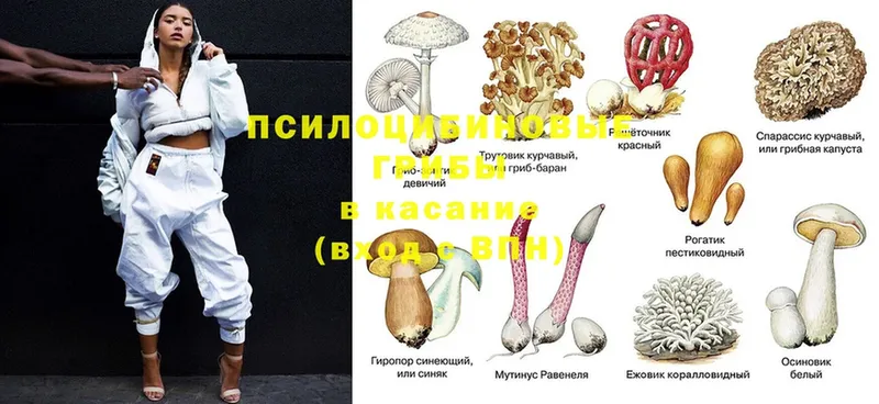 Псилоцибиновые грибы мицелий  Бугульма 